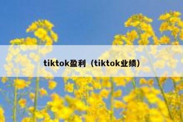 tiktok盈利（tiktok业绩）