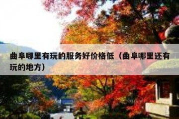 曲阜哪里有玩的服务好价格低（曲阜哪里还有玩的地方）