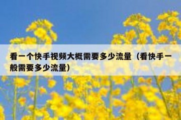 看一个快手视频大概需要多少流量（看快手一般需要多少流量）