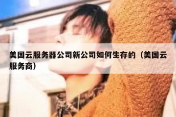 美国云服务器公司新公司如何生存的（美国云服务商）