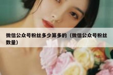 微信公众号粉丝多少算多的（微信公众号粉丝数量）