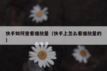 快手如何查看播放量（快手上怎么看播放量的）