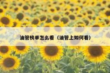 油管榜单怎么看（油管上如何看）
