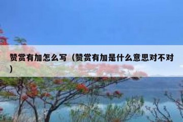 赞赏有加怎么写（赞赏有加是什么意思对不对）