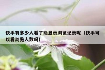 快手有多少人看了能显示浏览记录呢（快手可以看浏览人数吗）