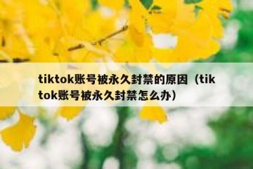 tiktok账号被永久封禁的原因（tiktok账号被永久封禁怎么办）