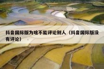 抖音国际版为啥不能评论别人（抖音国际版没有评论）