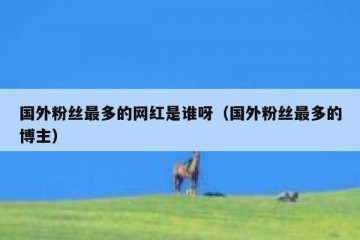 国外粉丝最多的网红是谁呀（国外粉丝最多的博主）