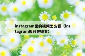 instagram里的视频怎么看（instagram视频在哪看）