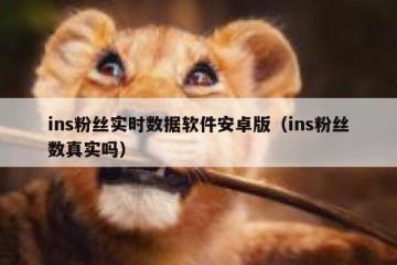 ins粉丝实时数据软件安卓版（ins粉丝数真实吗）