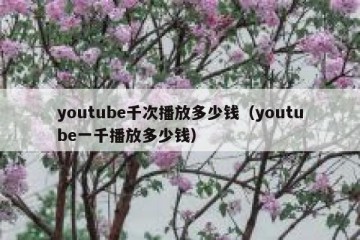 youtube千次播放多少钱（youtube一千播放多少钱）