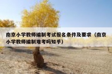 南京小学教师编制考试报名条件及要求（南京小学教师编制难考吗知乎）