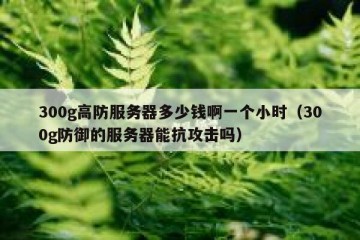 300g高防服务器多少钱啊一个小时（300g防御的服务器能抗攻击吗）