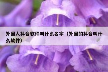 外国人抖音软件叫什么名字（外国的抖音叫什么软件）