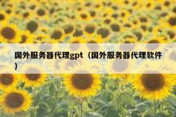 国外服务器代理gpt（国外服务器代理软件）