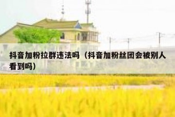 抖音加粉拉群违法吗（抖音加粉丝团会被别人看到吗）