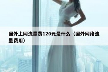 国外上网流量费120元是什么（国外网络流量费用）