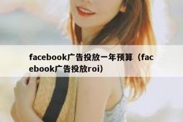 facebook广告投放一年预算（facebook广告投放roi）