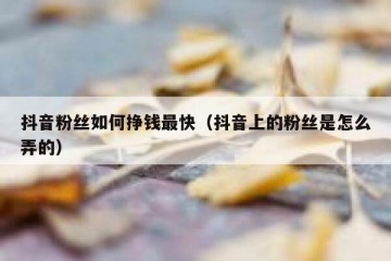 抖音粉丝如何挣钱最快（抖音上的粉丝是怎么弄的）