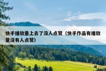 快手播放量上去了没人点赞（快手作品有播放量没有人点赞）