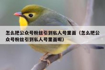 怎么把公众号粉丝引到私人号里面（怎么把公众号粉丝引到私人号里面呢）