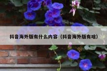 抖音海外版有什么内容（抖音海外版有啥）