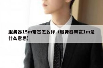 服务器15m带宽怎么样（服务器带宽1m是什么意思）