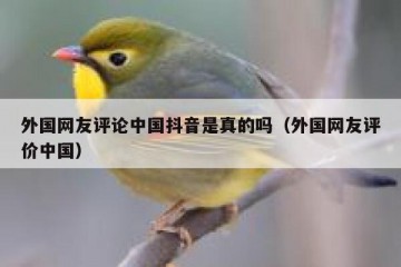 外国网友评论中国抖音是真的吗（外国网友评价中国）