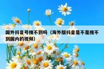 国外抖音号搜不到吗（海外版抖音是不是搜不到国内的视频）