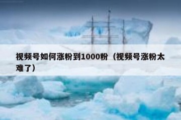 视频号如何涨粉到1000粉（视频号涨粉太难了）