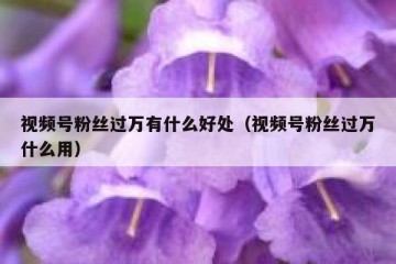 视频号粉丝过万有什么好处（视频号粉丝过万什么用）