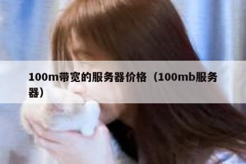 100m带宽的服务器价格（100mb服务器）