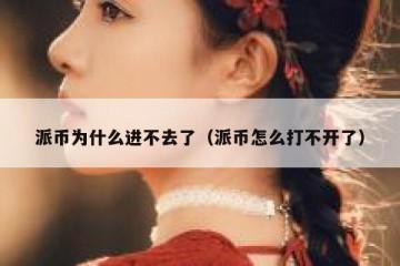 派币为什么进不去了（派币怎么打不开了）