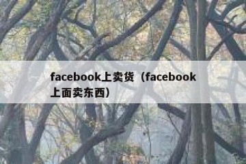 facebook上卖货（facebook上面卖东西）