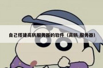 自己搭建高防服务器的软件（高防 服务器）