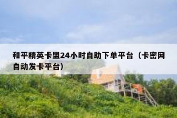 和平精英卡盟24小时自助下单平台（卡密网自动发卡平台）