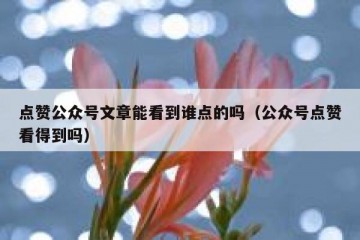 点赞公众号文章能看到谁点的吗（公众号点赞看得到吗）