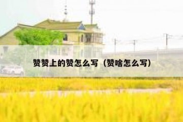 赞赞上的赞怎么写（赞啥怎么写）