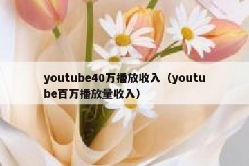 youtube40万播放收入（youtube百万播放量收入）