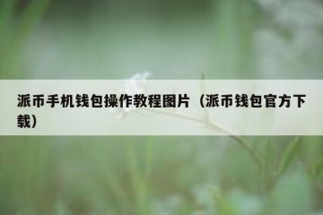派币手机钱包操作教程图片（派币钱包官方下载）