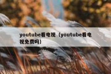youtube看电视（youtube看电视免费吗）
