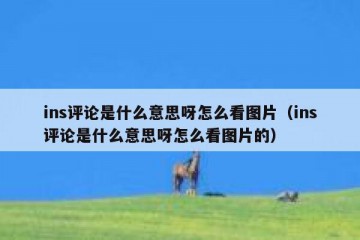 ins评论是什么意思呀怎么看图片（ins评论是什么意思呀怎么看图片的）