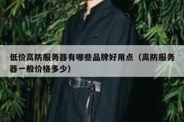 低价高防服务器有哪些品牌好用点（高防服务器一般价格多少）