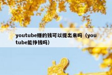 youtube赚的钱可以提出来吗（youtube能挣钱吗）