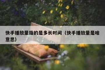 快手播放量指的是多长时间（快手播放量是啥意思）