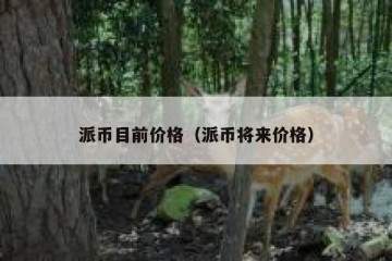 派币目前价格（派币将来价格）