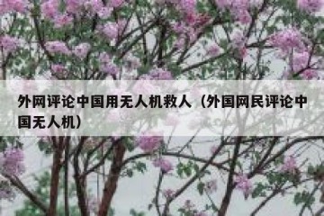 外网评论中国用无人机救人（外国网民评论中国无人机）