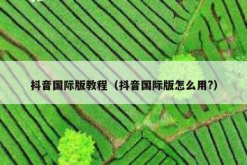 抖音国际版教程（抖音国际版怎么用?）