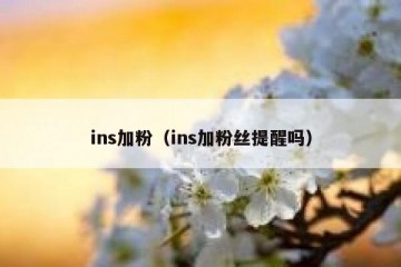 ins加粉（ins加粉丝提醒吗）