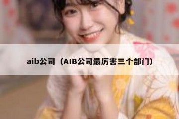 aib公司（AIB公司最厉害三个部门）